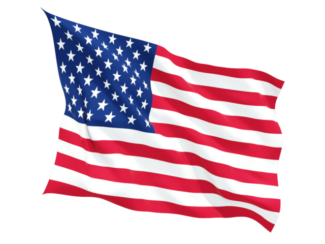 US Delaware flag Image